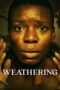 Weathering (2023)