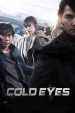 Cold Eyes (2013)